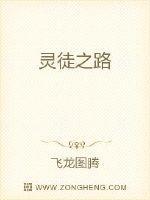 灵徒灵士灵师灵王