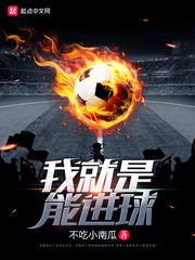 我就是能进球足球 我就是能进球足球