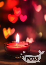 猎人之盗贼的爱 猎人之盗贼的爱