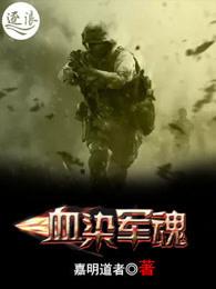 血染战衣 血染战衣