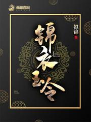 锦衣玉令介绍 锦衣玉令介绍