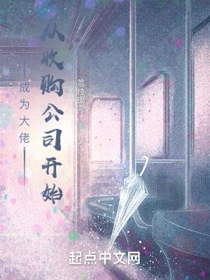 成为大佬,从收购公司开始 成为大佬,从收购公司开始