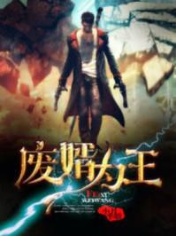 废婿为王 废婿为王